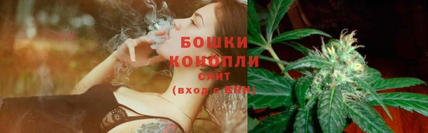 прущие грибы Арсеньев
