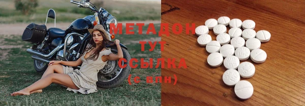 прущие грибы Арсеньев