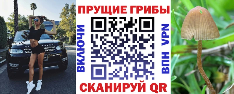 Псилоцибиновые грибы мицелий  KRAKEN ссылки  Углич 